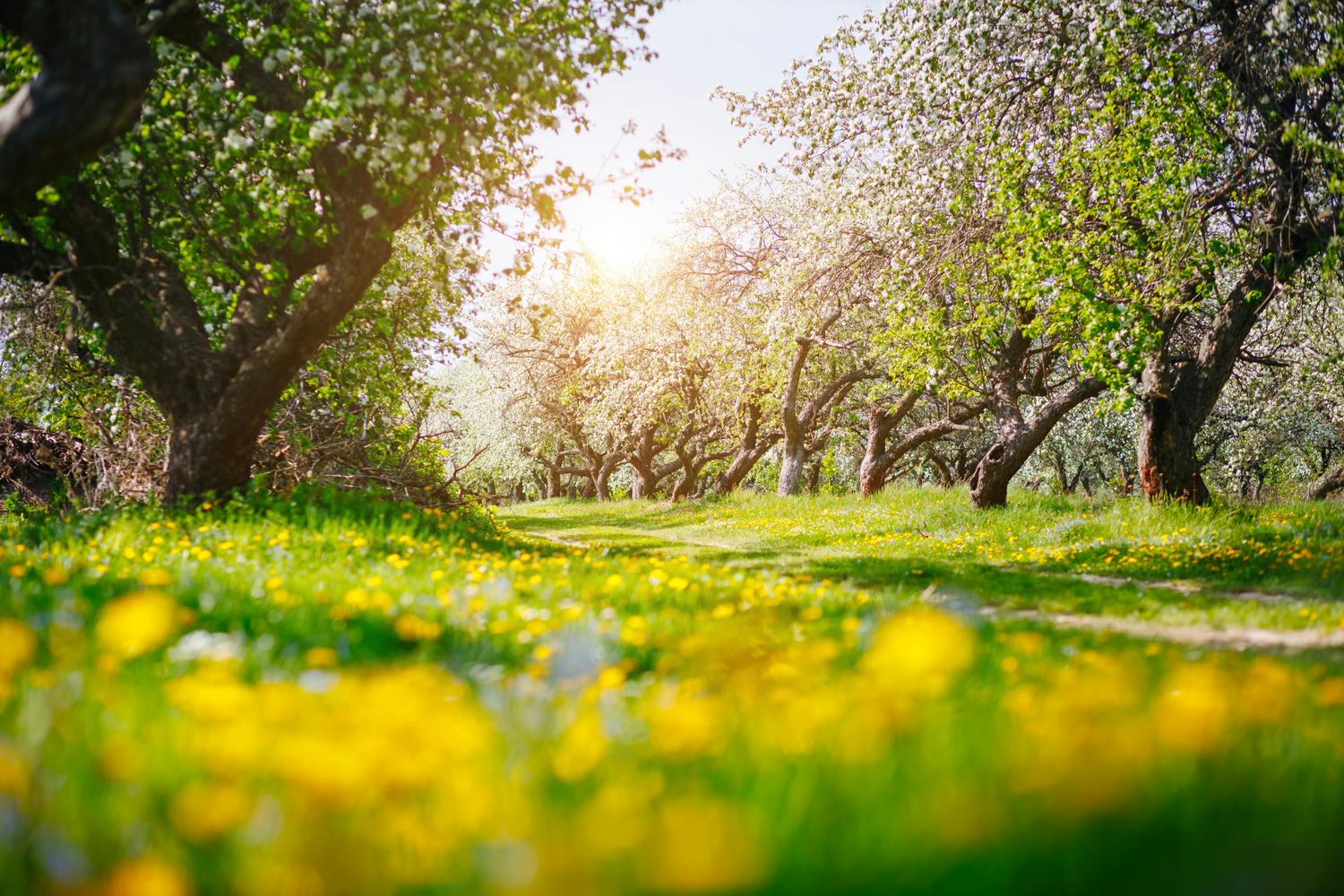 Maisemakuva epäterävä etuala ja tausta mutta terävä keskiala